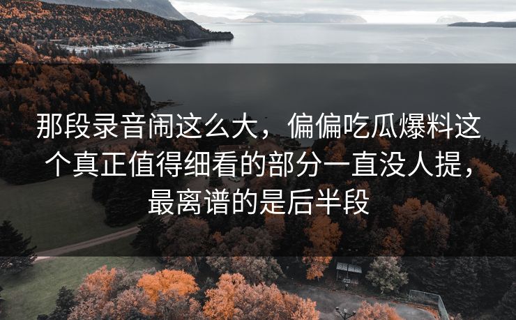 那段录音闹这么大，偏偏吃瓜爆料这个真正值得细看的部分一直没人提，最离谱的是后半段