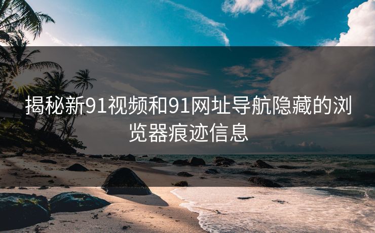 揭秘新91视频和91网址导航隐藏的浏览器痕迹信息