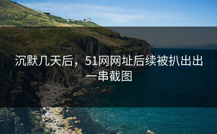 沉默几天后，51网网址后续被扒出出一串截图