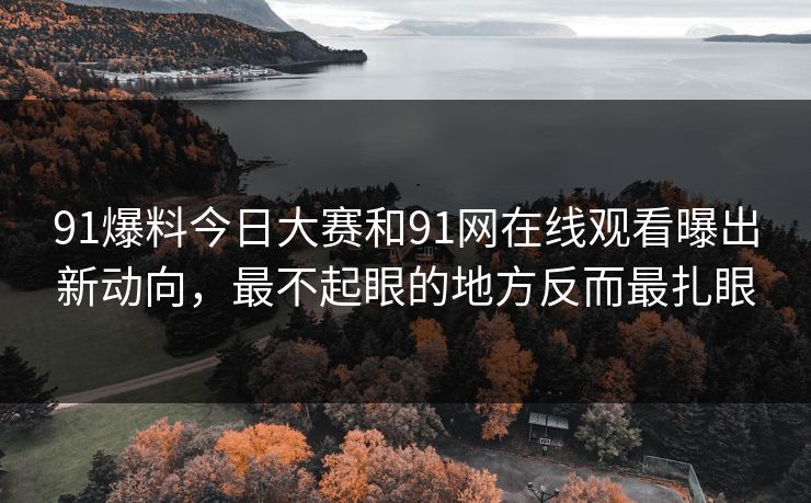91爆料今日大赛和91网在线观看曝出新动向，最不起眼的地方反而最扎眼