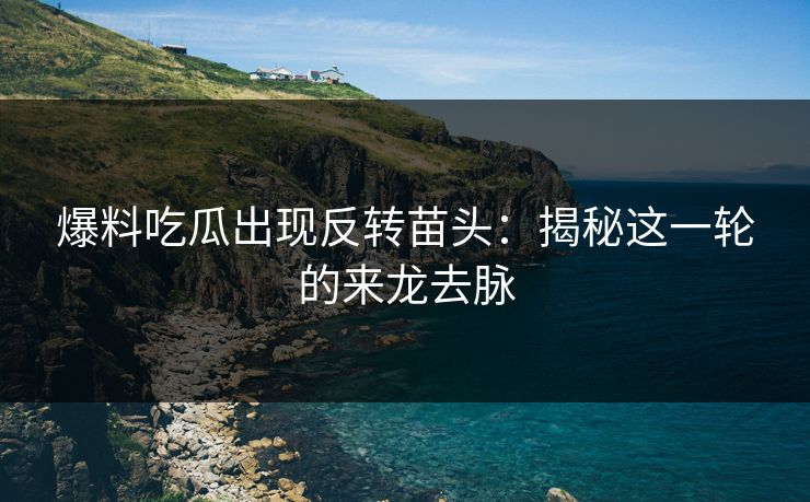 爆料吃瓜出现反转苗头:揭秘这一轮的来龙去脉