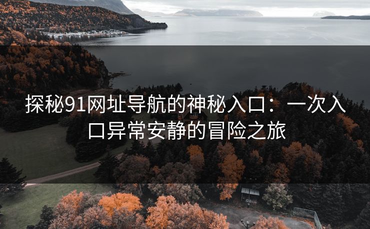 探秘91网址导航的神秘入口:一次入口异常安静的冒险之旅